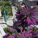 Renata Apartment Rab Town